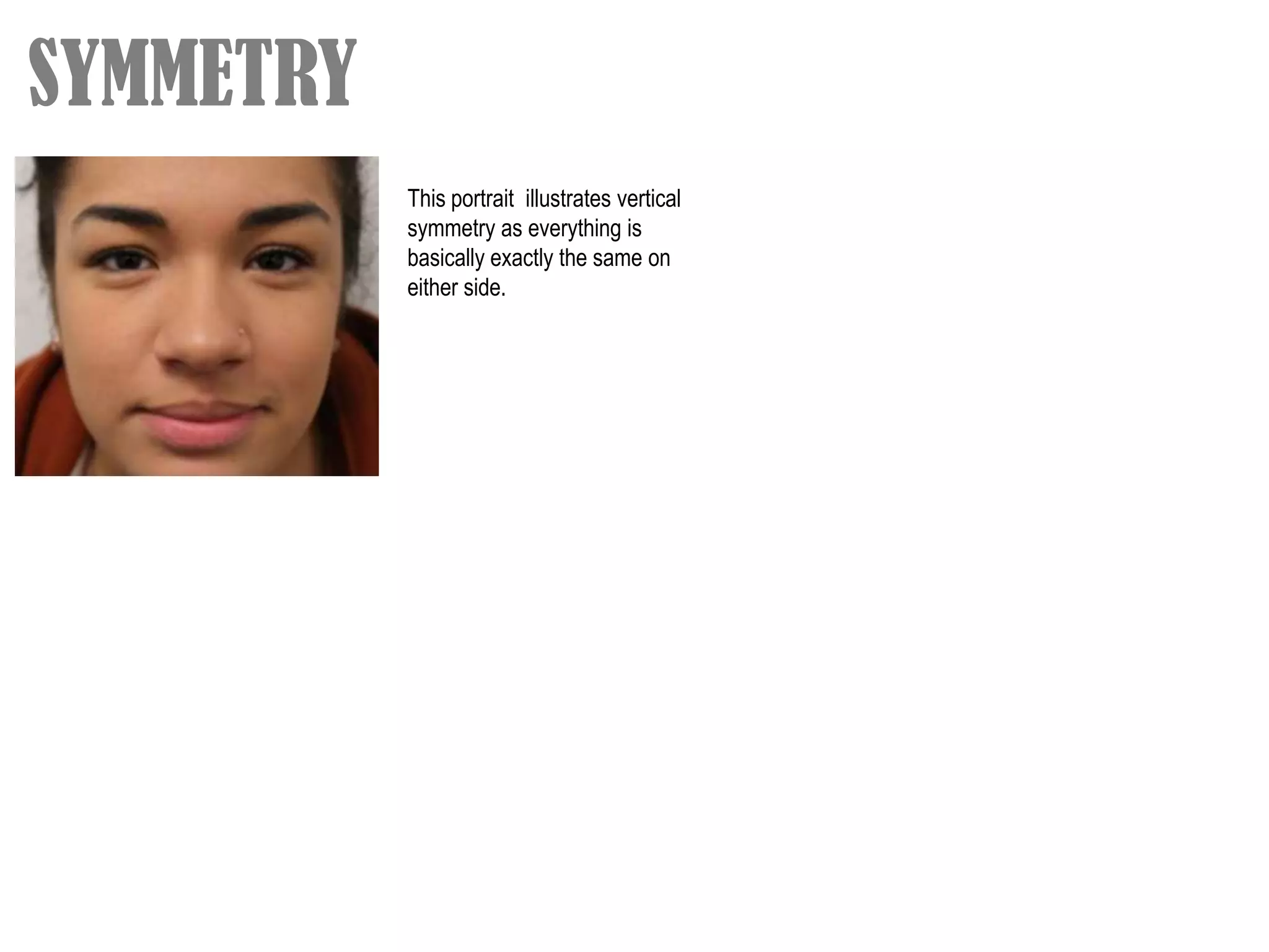 SYMMETRY
           This portrait illustrates vertical
           symmetry as everything is
           basically exactly the same on
           either side.
 