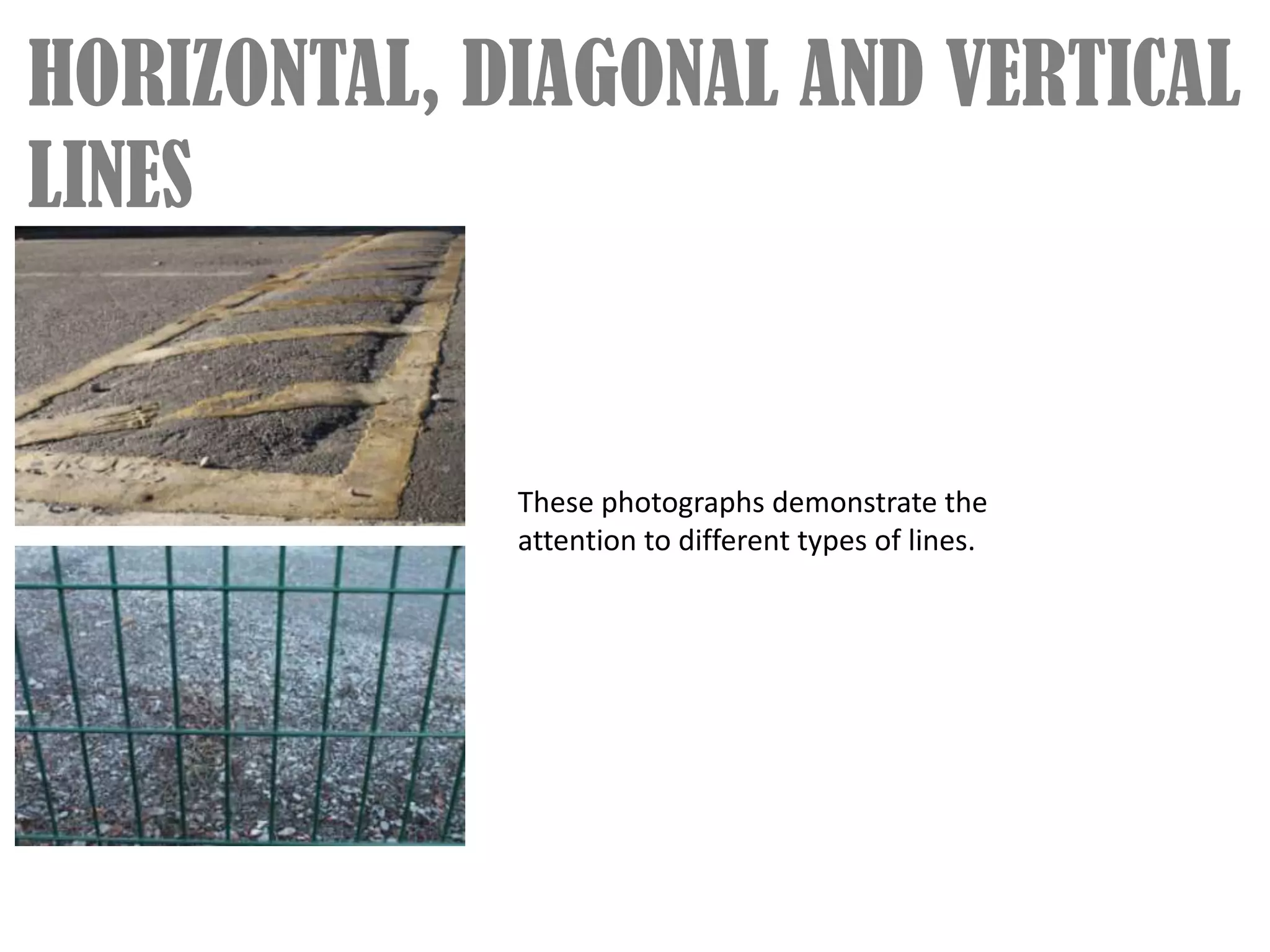 HORIZONTAL, DIAGONAL AND VERTICAL
LINES


             These photographs demonstrate the
             attention to different types of lines.
 
