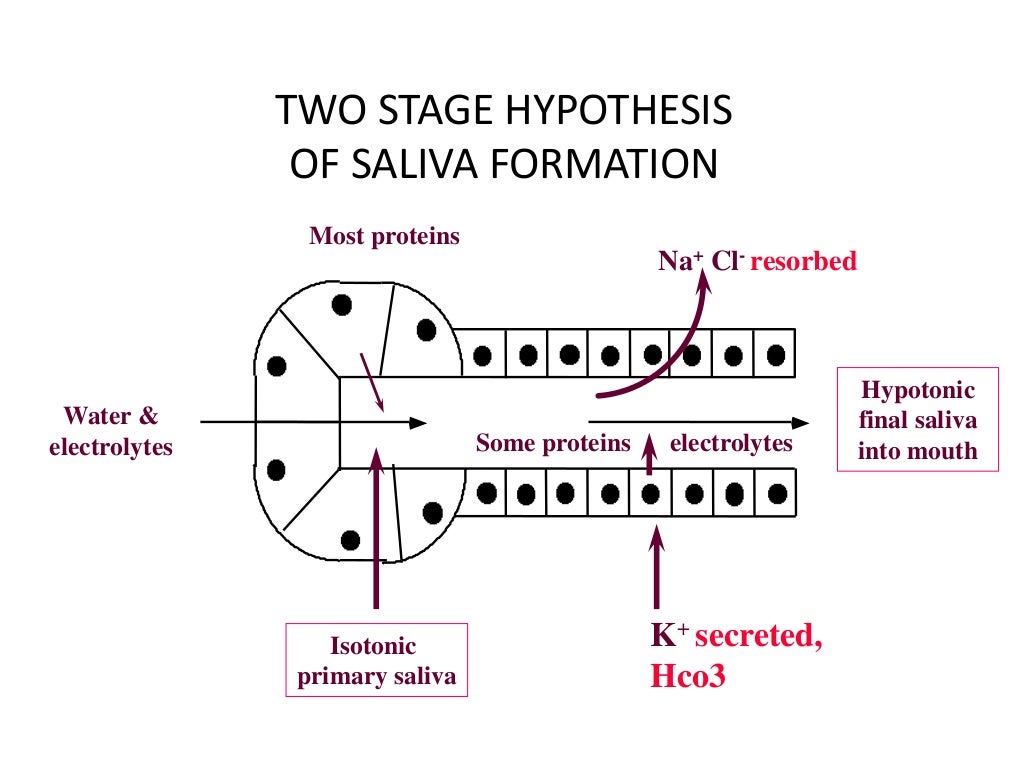 Compositions of digestive enzymes and juices