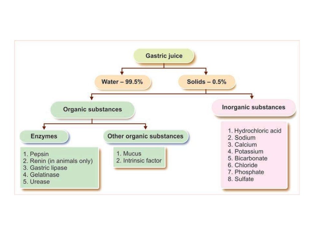 Compositions of digestive enzymes and juices