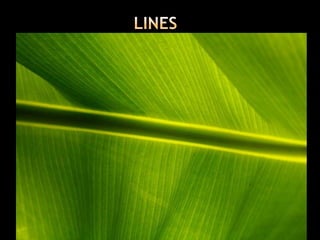 Composition slide show