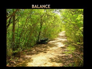 Composition slide show