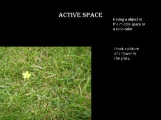Active space Having a object in the middle space or a solid colorI took a picture of a flower in the grass, 