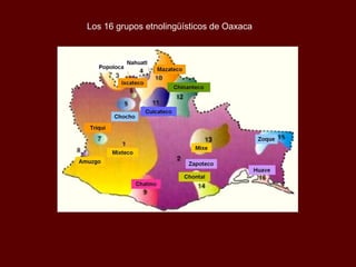 Los 16 grupos etnolingüísticos de Oaxaca
 