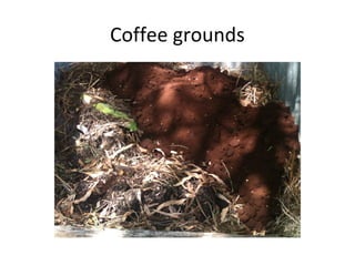 Coffee grounds
 