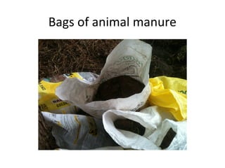 Bags of animal manure
 