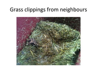 Grass clippings from neighbours
 