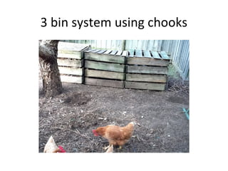 3 bin system using chooks
 
