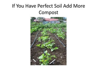 If You Have Perfect Soil Add More
            Compost
 