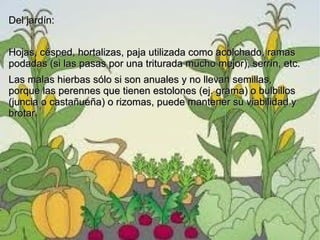 Del jardín:


Hojas, césped, hortalizas, paja utilizada como acolchado, ramas
podadas (si las pasas por una triturada mucho mejor), serrín, etc.
Las malas hierbas sólo si son anuales y no llevan semillas,
porque las perennes que tienen estolones (ej. grama) o bulbillos
(juncia o castañueña) o rizomas, puede mantener su viabilidad y
brotar.
 
