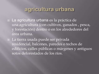    La agricultura urbana es la práctica de
    una agricultura (con cultivos, ganados , pesca,
    y forestación) dentro o en los alrededores del
    área urbana.
   La tierra usada puede ser privada
    residencial, balcones, paredes o techos de
    edificios, calles públicas o márgenes y antiguos
    sotos deforestados de los ríos.
 