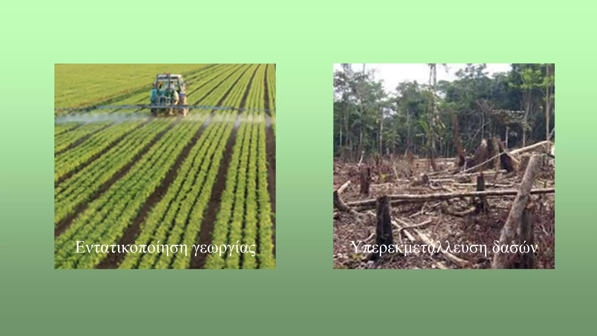 Εντατικοποίηση γεωργίας Υπερεκμετάλλευση δασών
 