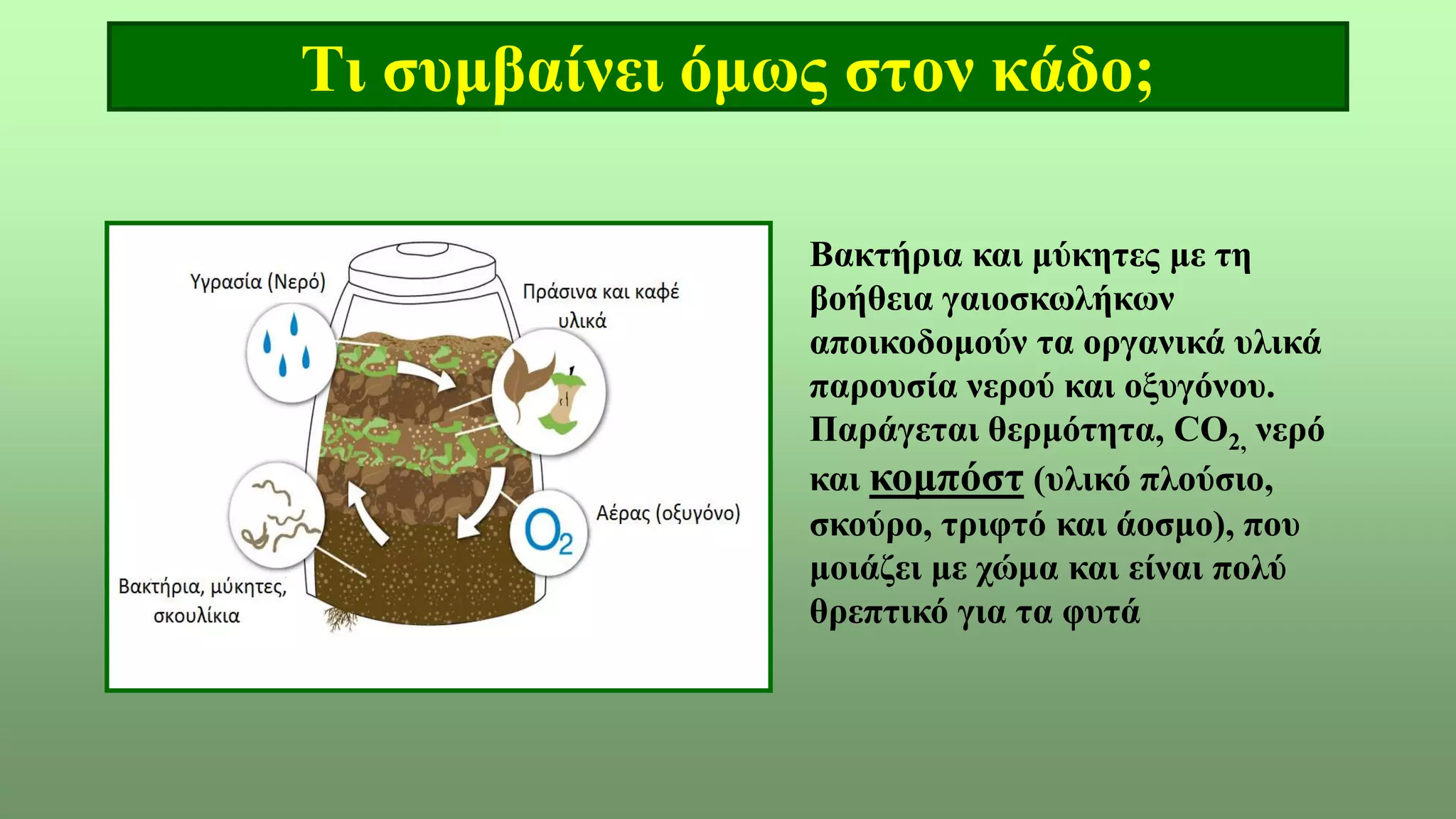 Τι συμβαίνει όμως στον κάδο;
Βακτήρια και μύκητες με τη
βοήθεια γαιοσκωλήκων
αποικοδομούν τα οργανικά υλικά
παρουσία νερού και οξυγόνου.
Παράγεται θερμότητα, CO2, νερό
και κομπόστ (υλικό πλούσιο,
σκούρο, τριφτό και άοσμο), που
μοιάζει με χώμα και είναι πολύ
θρεπτικό για τα φυτά
 