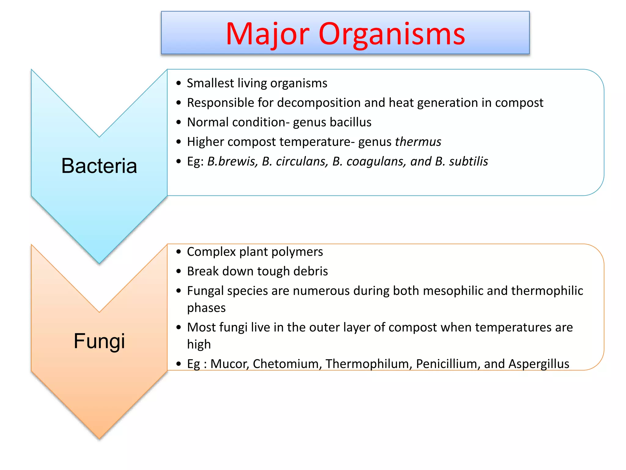 Major Organisms
Bacteria
• Smallest living organisms
• Responsible for decomposition and heat generation in compost
• Normal condition- genus bacillus
• Higher compost temperature- genus thermus
• Eg: B.brewis, B. circulans, B. coagulans, and B. subtilis
Fungi
• Complex plant polymers
• Break down tough debris
• Fungal species are numerous during both mesophilic and thermophilic
phases
• Most fungi live in the outer layer of compost when temperatures are
high
• Eg : Mucor, Chetomium, Thermophilum, Penicillium, and Aspergillus
10
 