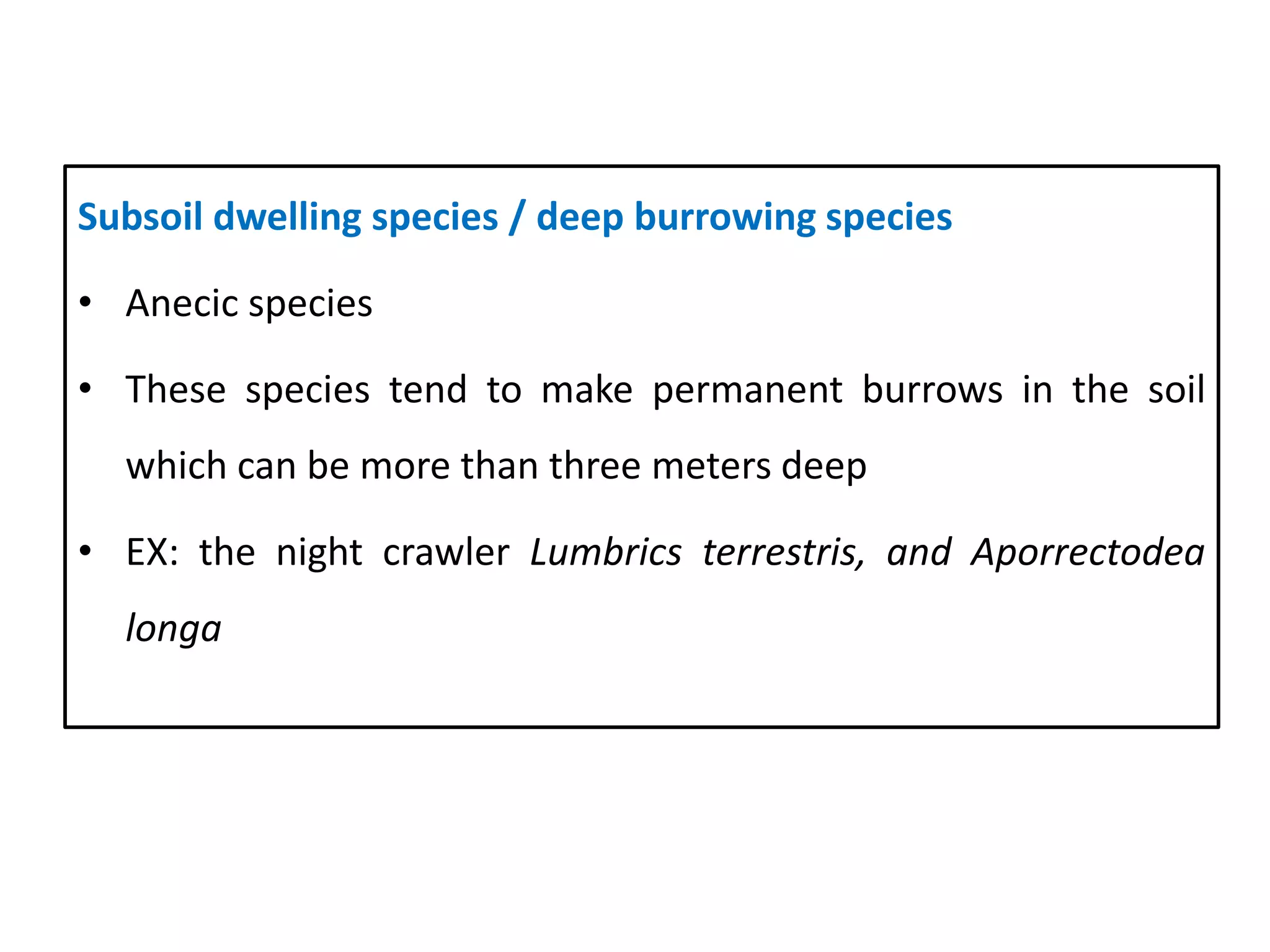 Subsoil dwelling species / deep burrowing species
• Anecic species
• These species tend to make permanent burrows in the soil
which can be more than three meters deep
• EX: the night crawler Lumbrics terrestris, and Aporrectodea
longa
36
 