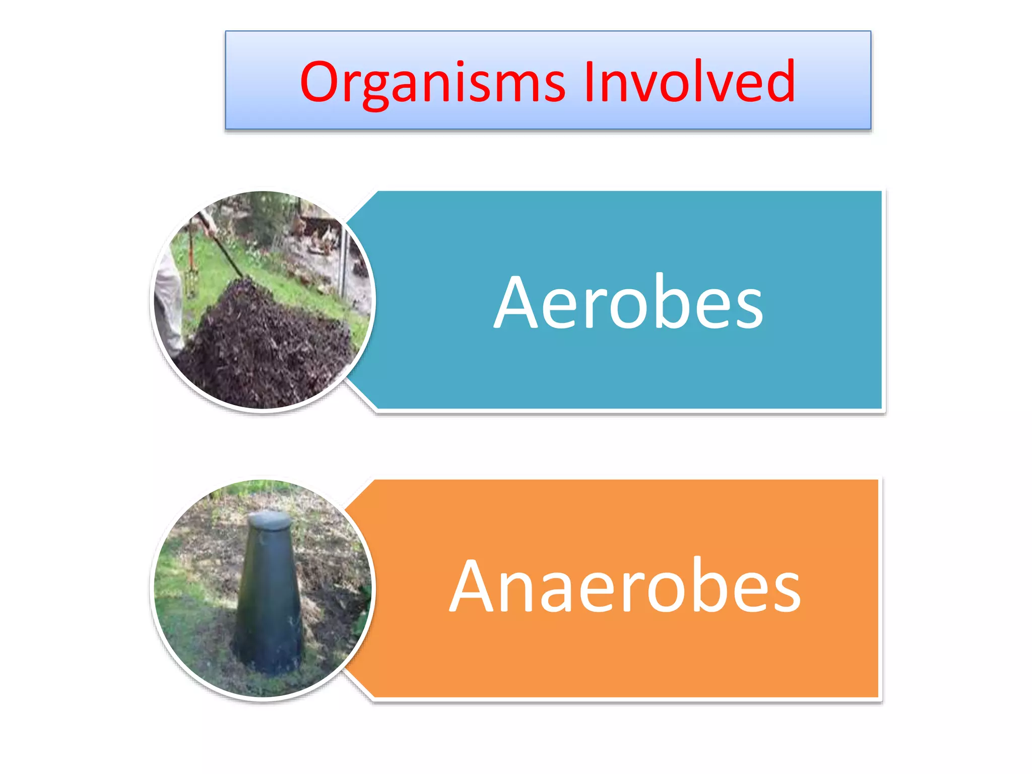Organisms Involved
Aerobes
Anaerobes
8
 