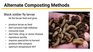Alternate Composting Methods
Black soldier fly larvae
let the larvae feed and grow
+ produce larvae as feed
+ don't process high cellulose
+ consume meat
+ don't bite, sting, or vector disease
+ reproduce quickly
– requires special bin to harvest
– produce little compost
– optimum temperature 90℉
 
