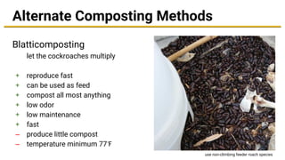 Alternate Composting Methods
Blatticomposting
let the cockroaches multiply
+ reproduce fast
+ can be used as feed
+ compost all most anything
+ low odor
+ low maintenance
+ fast
– produce little compost
– temperature minimum 77℉
use non-climbing feeder roach species
 