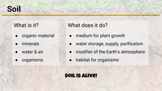 Soil
What is it?
● organic material
● minerals
● water & air
● organisms
What does it do?
● medium for plant growth
● water storage, supply, purification
● modifier of the Earth's atmosphere
● habitat for organisms
Soil is alive!
 