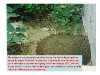 Finalmente la composta se distribuye de forma homogénea sobre la superficie del jardín y se riega de forma abundante, para macetas solo use una pequeña cantidad ( ±15%) debido a que es tan rico en nutrientes que una cantidad mayor puede resultar tóxica para sus plantas .  