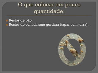  Restos de pão;
 Restos de comida sem gordura (tapar com terra).
 
