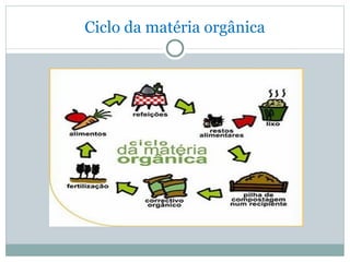Ciclo da matéria orgânica 