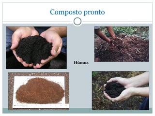 Composto pronto Húmus 