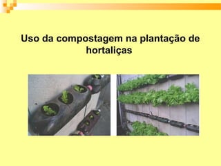 Uso da compostagem na plantação de
            hortaliças
 
