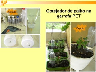 Gotejador de palito na
     garrafa PET
 