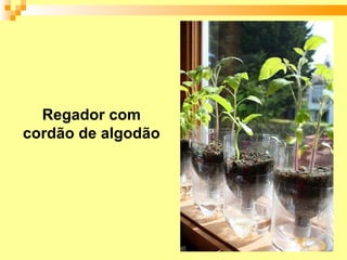 Regador com
cordão de algodão
 