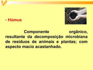 - Húmus

         Componente          orgânico,
resultante da decomposição microbiana
de resíduos de animais e plantas; com
aspecto macio acastanhado.
 