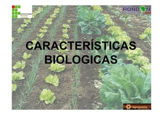 CARACTERÍSTICAS
BIOLOGICAS
 