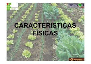 CARACTERISTICAS
FÍSICAS
 
