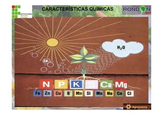 CARACTERÍSTICAS QUÍMICAS
 