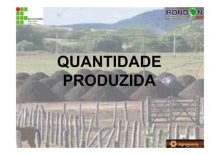 QUANTIDADE
PRODUZIDA
 