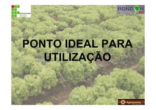 PONTO IDEAL PARA
UTILIZAÇÃO
 