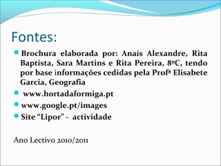 Fontes:
Brochura elaborada por: Anaís Alexandre, Rita
Baptista, Sara Martins e Rita Pereira, 8ºC, tendo
por base informações cedidas pela Profª Elisabete
Garcia, Geografia
 www.hortadaformiga.pt
www.google.pt/images
Site “Lipor” - actividade
Ano Lectivo 2010/2011
 