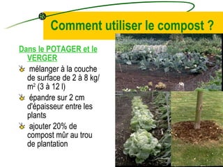 Comment utiliser le   compost ? Dans le POTAGER et  le  VERGER mélanger à la couche de surface de 2 à 8 kg/m 2  (3 à 12 l) épandre sur 2 cm d'épaisseur entre les plants ajouter 20% de compost  mûr  au trou de plantation 