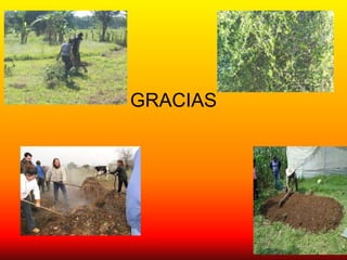 GRACIAS
 