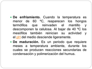  De enfriamiento. Cuando la temperatura es
menor de 60 ºC, reaparecen los hongos
termófilos que reinvaden el mantillo y
descomponen la celulosa. Al bajar de 40 ºC los
mesófilos también reinician su actividad y
el pH del medio desciende ligeramente.
 De maduración. Es un periodo que requiere
meses a temperatura ambiente, durante los
cuales se producen reacciones secundarias de
condensación y polimerización del humus.
 