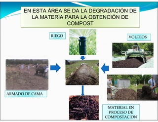 EN ESTA ÁREA SE DA LA DEGRADACIÓN DE
LA MATERIA PARA LA OBTENCIÓN DE
COMPOST
ARMADO DE CAMA
RIEGO VOLTEOS
MATERIAL EN
PROCESO DE
COMPOSTACION
 