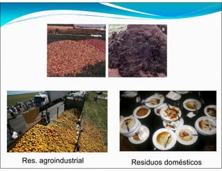 Res. agroindustrial Residuos domésticos
 
