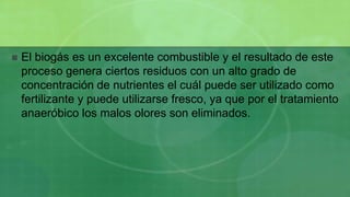    El biogás es un excelente combustible y el resultado de este
    proceso genera ciertos residuos con un alto grado de
    concentración de nutrientes el cuál puede ser utilizado como
    fertilizante y puede utilizarse fresco, ya que por el tratamiento
    anaeróbico los malos olores son eliminados.
 