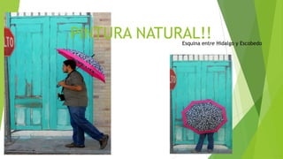 PINTURA NATURAL!!
             Esquina entre Hidalgo y Escobedo
 