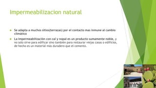 Impermeabilizacion natural

   Se adapta a muchos sitios(terrazas) por el contacto mas inmune al cambio
    climático
   La impermeabilización con cal y nopal es un producto sumamente noble, y
    no solo sirve para edificar sino también para restaurar viejas casas o edificios,
    de hecho es un material más duradero que el cemento.
 