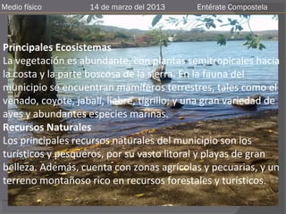 Medio físico        14 de marzo del 2013    Entérate Compostela




Principales Ecosistemas
La vegetación es abundante, con plantas semitropicales hacia
la costa y la parte boscosa de la sierra. En la fauna del
municipio se encuentran mamíferos terrestres, tales como el
venado, coyote, jabalí, liebre, tigrillo; y una gran variedad de
aves y abundantes especies marinas.
Recursos Naturales
Los principales recursos naturales del municipio son los
turísticos y pesqueros, por su vasto litoral y playas de gran
belleza. Además, cuenta con zonas agrícolas y pecuarias, y un
terreno montañoso rico en recursos forestales y turísticos.
 