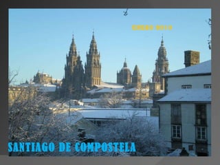 ENERO 2010 SANTIAGO DE COMPOSTELA 