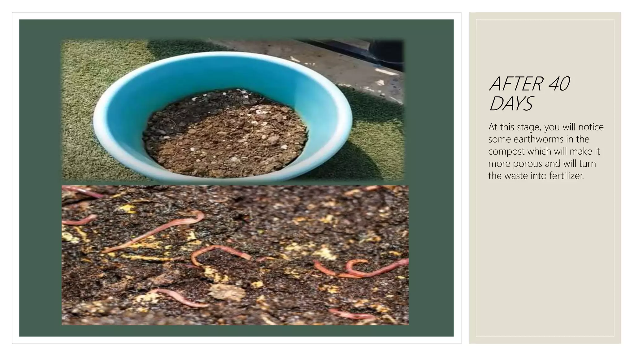 AFTER 40
DAYS
At this stage, you will notice
some earthworms in the
compost which will make it
more porous and will turn
the waste into fertilizer.
 