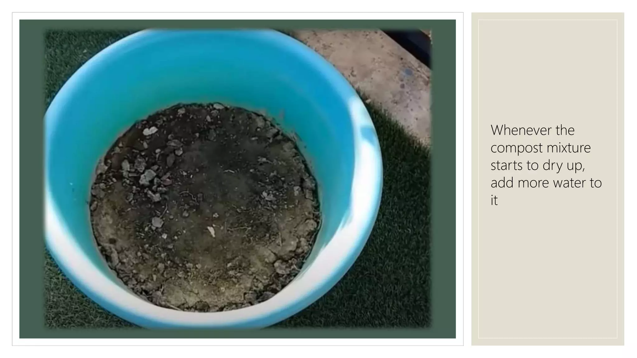 Whenever the
compost mixture
starts to dry up,
add more water to
it
 