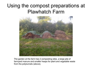 Using the compost preparations at
Plawhatch Farm
The garden at the farm has 2 composting sites, a large pile of
farmyard manure and smaller heaps for plant and vegetable waste
from the polytunnels (above).
 
